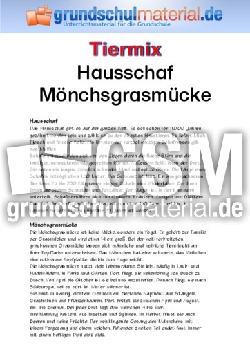 Hausschaf - Mönchsgrasmücke.pdf